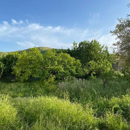 La Casa Tra Gli Ulivi - Ecohouse Nyaraló *