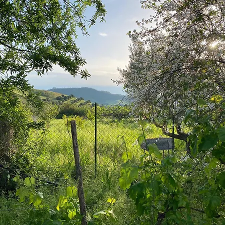 Nyaraló La Casa Tra Gli Ulivi - Ecohouse Catanzaro
