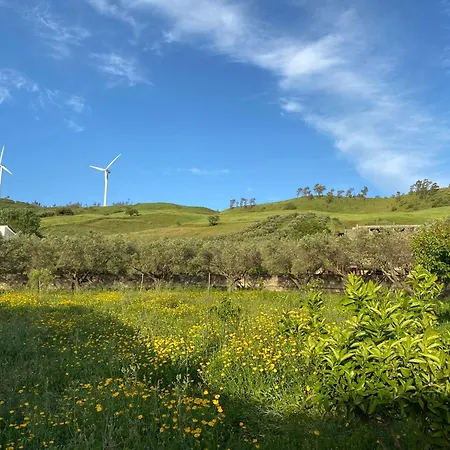 Hébergement de vacances La Casa Tra Gli Ulivi - Ecohouse