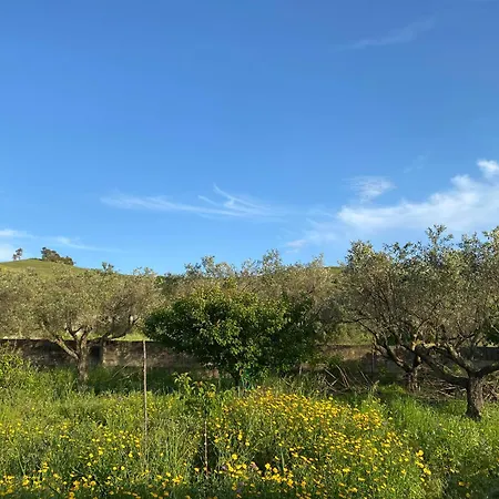 Hébergement de vacances La Casa Tra Gli Ulivi - Ecohouse Catanzaro